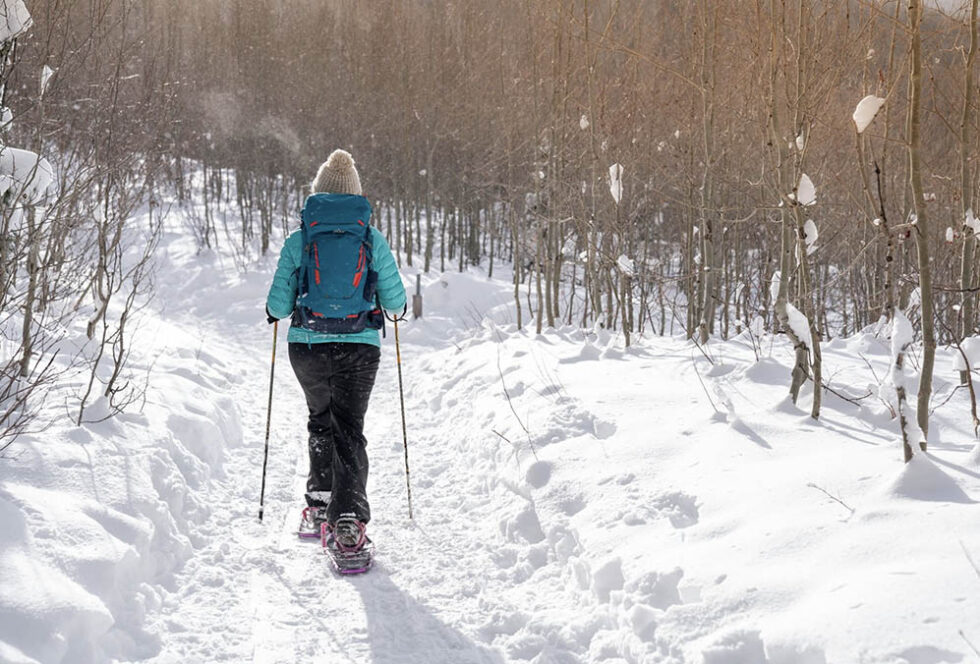 Bluebird Trail Farm Organic food, education and fun