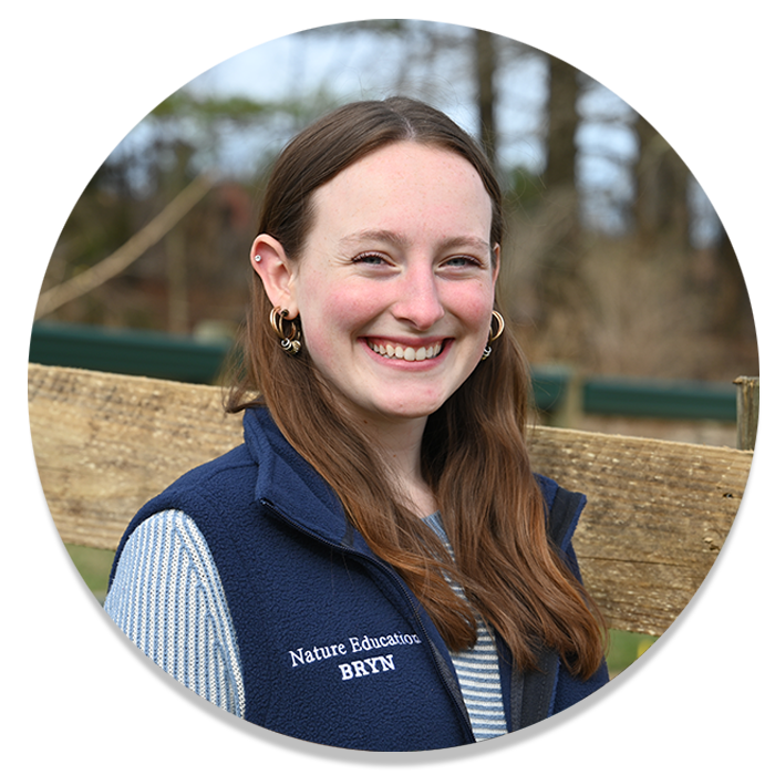 Bill - Bee Keeper at Bluebird Trail Farm