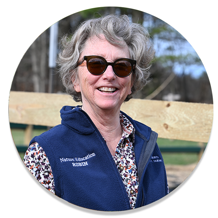 Robin - Bluebird Trail Farm